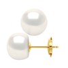 STELLA - Boucles d'Oreilles Perles d'Eau Douce 10-11 mm Blanches Or Jaune - vue V1