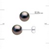 STELLA - Boucles d'Oreilles Perles de Tahiti 7-8 mm Or Blanc - vue V3