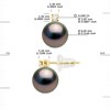 STELLA - Boucles d'Oreilles Perles de Tahiti 8-9 mm Or 18 Cts - vue V3