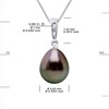Pendentif Joaillerie Diamants 0,01 Cts - Véritable Perle de Culture de Tahiti Poire 9-10 mm - Or Blanc - vue V3