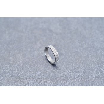 Alliance Gianni en Acier 316L