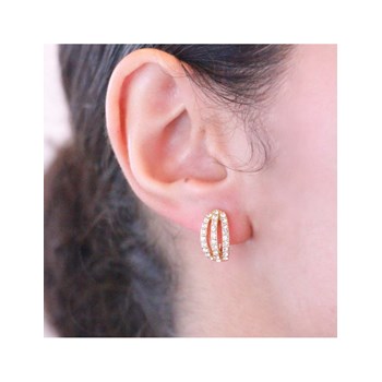 Elegant Earrings - Gold and Crystal