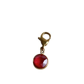 Verguld stalen hanger charm met fushia roze kristal