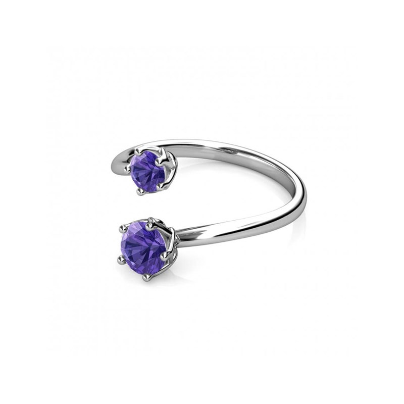 Bague Birth Stone - Argenté et Violet - vue 4