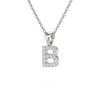 Collier Pendentif ADEN Lettre B Or 750 Blanc Diamant Chaine Or 750 incluse 0.72grs - vue V3