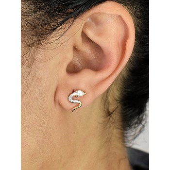 Set Slang Zirkoniumoxide Verguld 750 3 micron 2 tinten