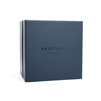 Montre Homme AriesGold Roadster G 9021 RGBK-BR