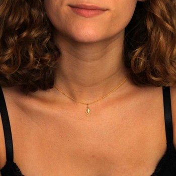 Collier - Pendentif Or Jaune Salamandre - Chaine Dorée