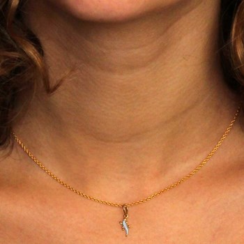 Collier - Pendentif Or Bicolore Salamandre - Chaine Dorée