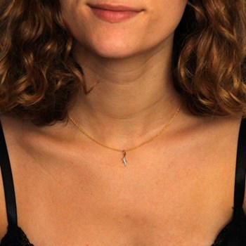 Collier - Pendentif Or Bicolore Salamandre - Chaine Dorée