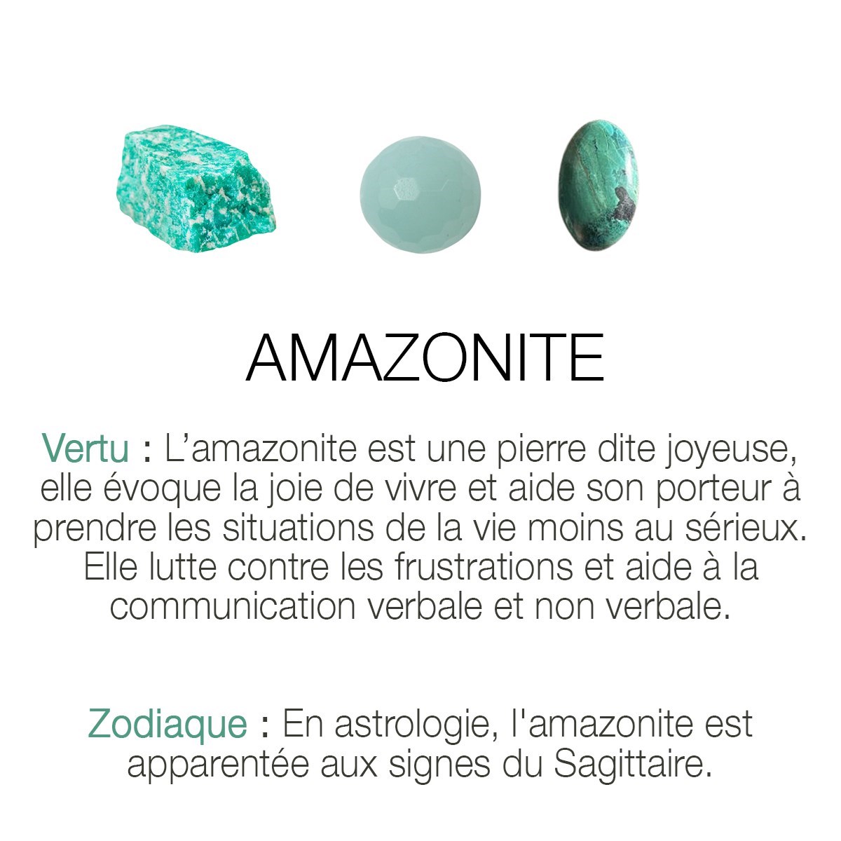- vue 4