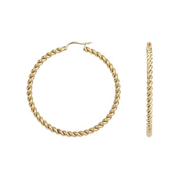 Créoles Delphine en Acier 316L