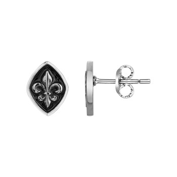 Boucles d'oreilles clous Roy en Acier 316L