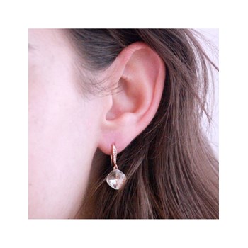 Tiffy Hook Set and Box - Rose Gold and Crystal