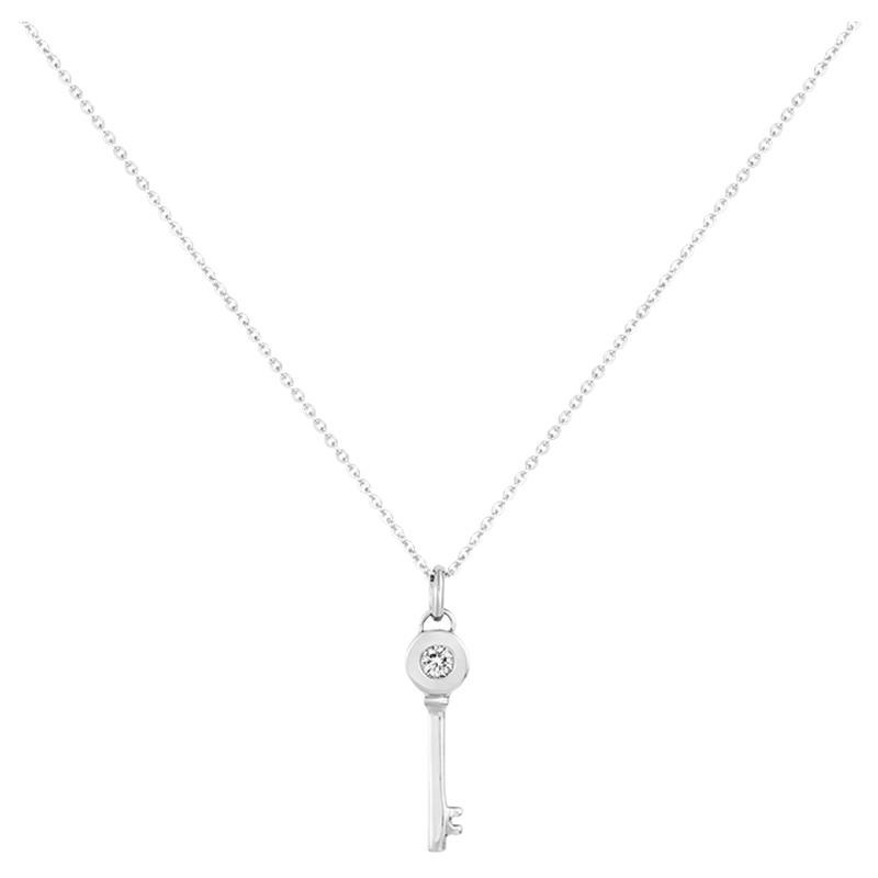 Collier en Acier