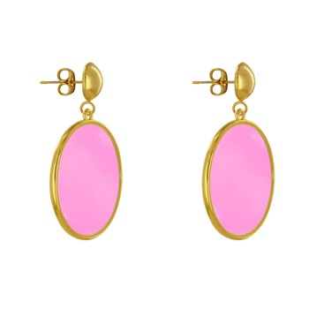 Oorbellen Goud Metalen Studs Doorschijnend Gekleurde Cirkel