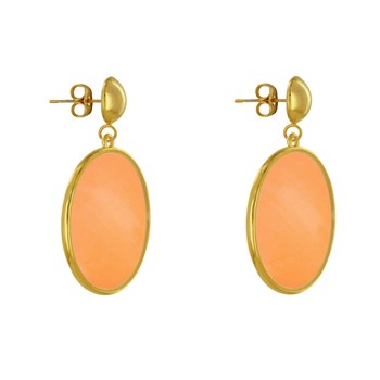 Boucles d'Oreilles Clous Métal Doré Cercle Coloré Translucide