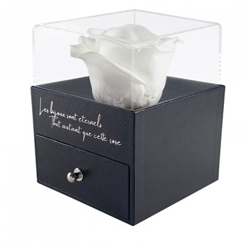 Jewelry box decorated with an eternal rose - white stabilized
