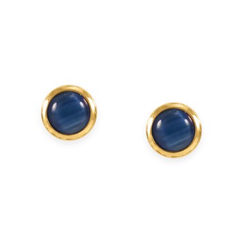 Boucles d'oreilles en acier doré avec résine bleue