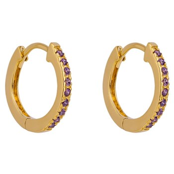 Vergulde oorbellen in 925 sterling zilver