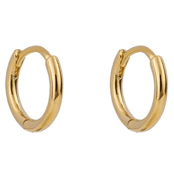 Vergulde oorbellen in 925 sterling zilver