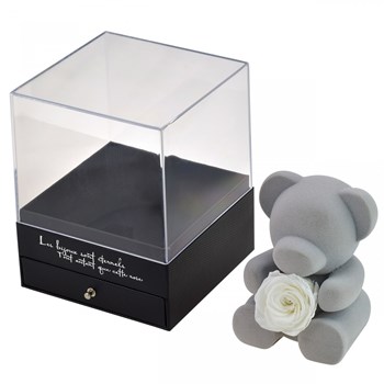 Teddy bear and white eternal rose jewelry box