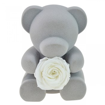 Teddy bear and white eternal rose jewelry box