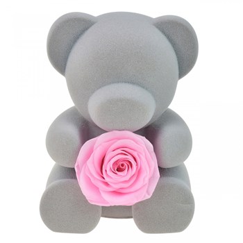 Teddy bear jewelry box decorated with an eternal rose - stabilized pink