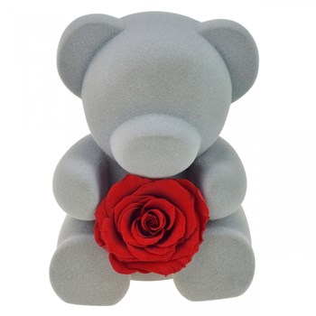 Teddy bear jewelry box decorated with an eternal rose - stabilized red