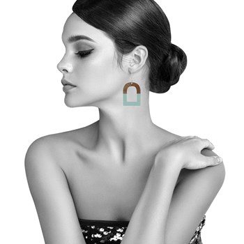 Boucles d'Oreilles Argent 925 Etrier Bois et Résine