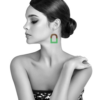 Boucles d'Oreilles Argent 925 Etrier Bois et Résine