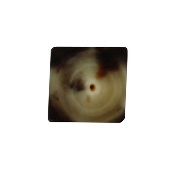 Horn Necklace Small Model 1