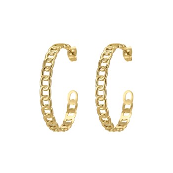 Eolia verguld stalen oorbellen