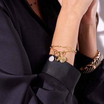 Bedel Hart 2 staal goud