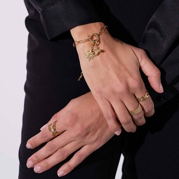 Soleil gold-plated steel and zircon Charm