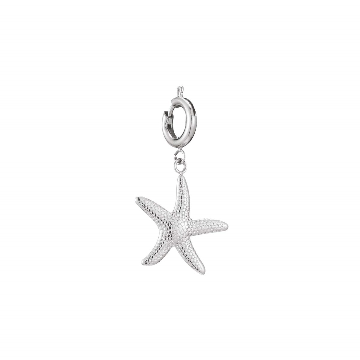 Charm Etoile de mer acier