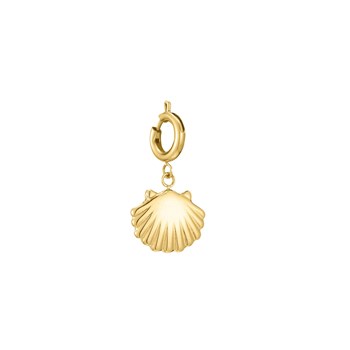 Verguld stalen schelp bedel
