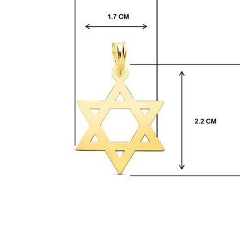 Collier - Pendentif Etoile de David Or 18 Carats 750/000 Jaune - Chaine Dorée