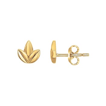 Boucles d'oreilles clous en Plaqué Or