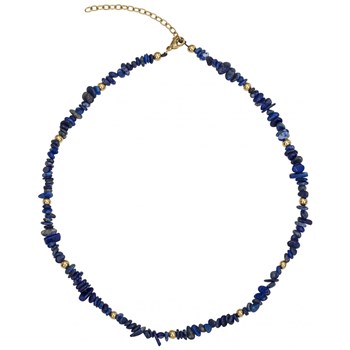 Iris ketting in 316L staal met blauwe lapis lazuli