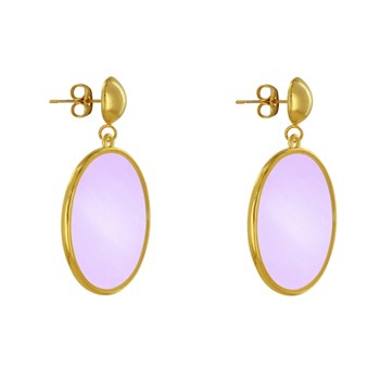 Boucles d'Oreilles Clous Métal Doré Cercle Coloré Translucide