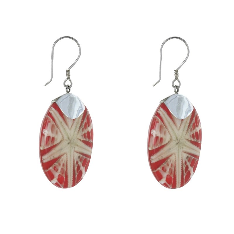 Boucles d'Oreilles Argent 925 Disque Etoile de Mer - vue 3