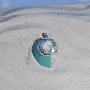 Pendentif Argent 925 Nautile Coquillage et Résine