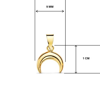 Collier - Pendentif Or 18 Carats 750/000 Jaune  - Corne - Chaine Dorée