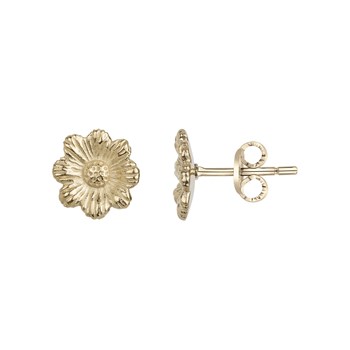 Boucles d'oreilles clous Aline en PVD