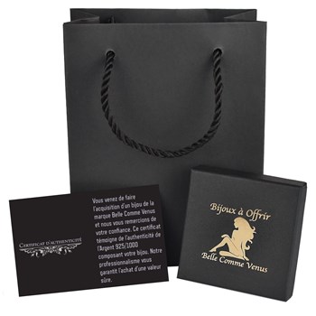 Pendentif porte-bonheur fer à cheval oxyde de zirconium Argent 925 Rhodié
