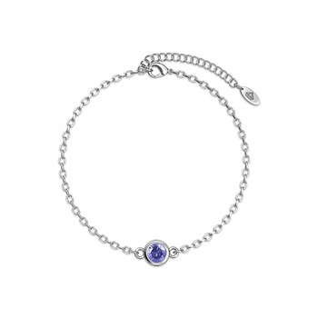 Bracelets Birth Stone - Argenté, cristal et violet