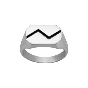 Jaxon signet ring in 316L steel