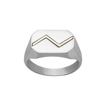 Jaxon signet ring in 316L steel