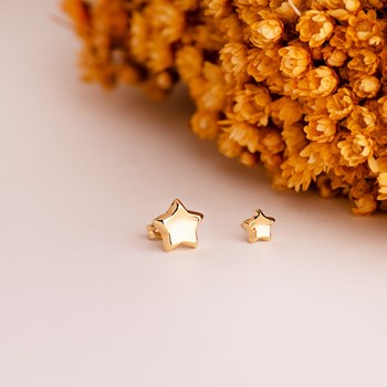 Boucles d'Oreilles Or 18 Carats 750/000 Jaune Etoile
